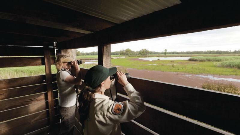 Lochinvar Safari Lodge Of Lochinvar National Park - Zambia Luaran gambar